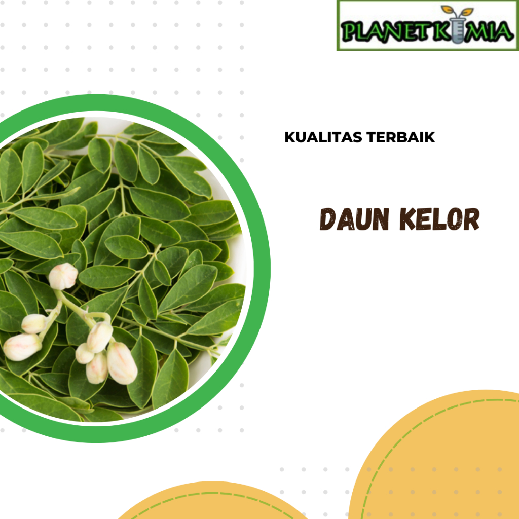 

dried,serbuk daun kelor best product