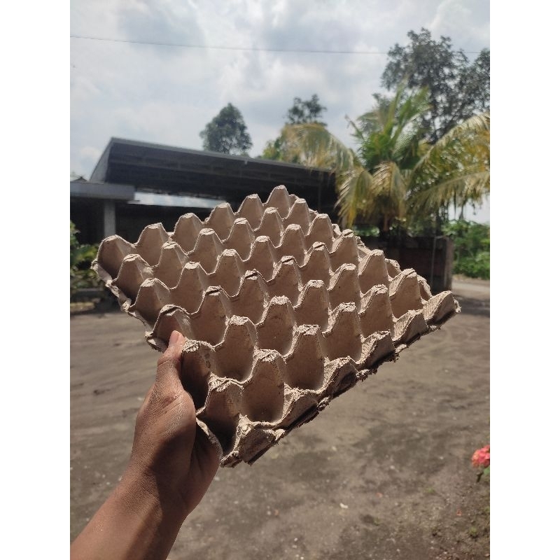 TRAY TELUR | WADAH TELUR AYAM