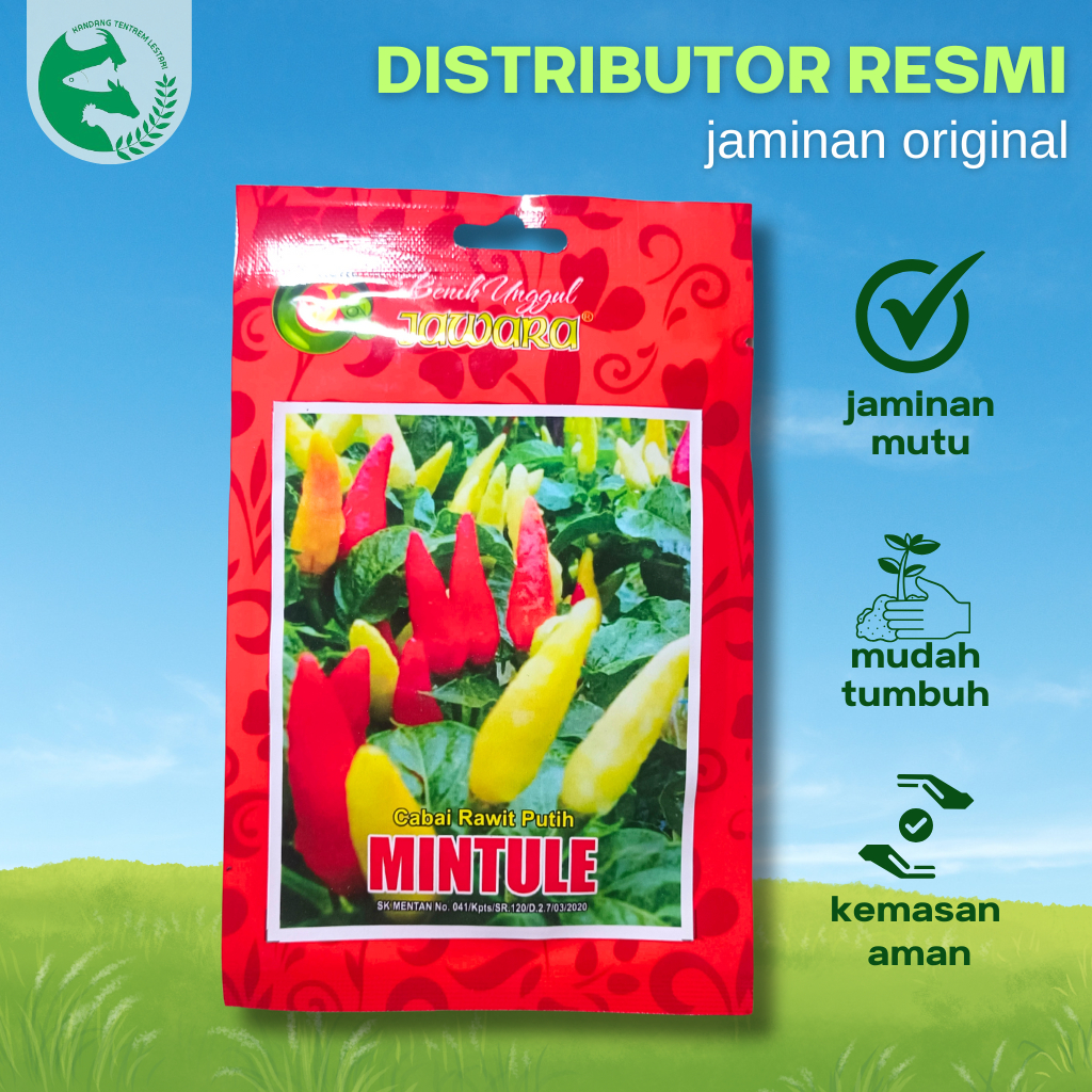 Benih Cabe Rawit MINTULE 10 gram Cap Benih jawara Cabe Setan Unggul Lebat