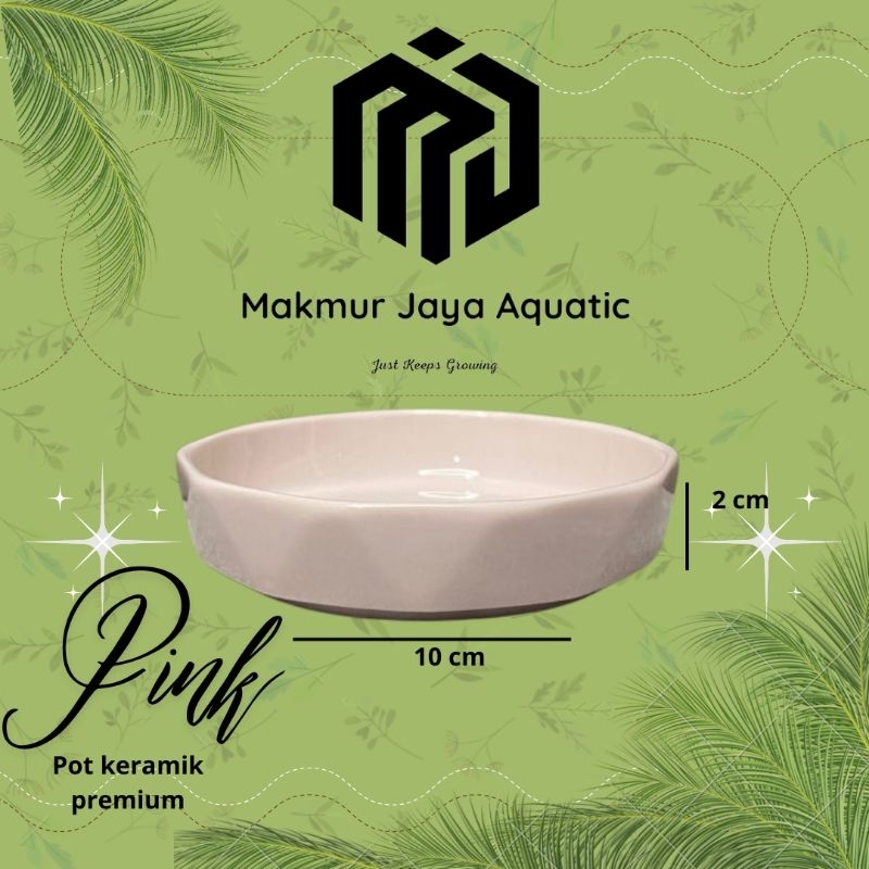 Raflezia Pot Keramik Premium Datar Tanaman Indoor Tanaman Meja Desktop Plant Pot Keramik Tanpa