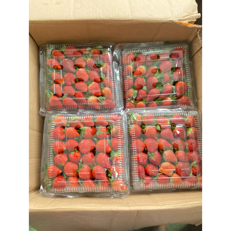 

Strawberry Grade Ab