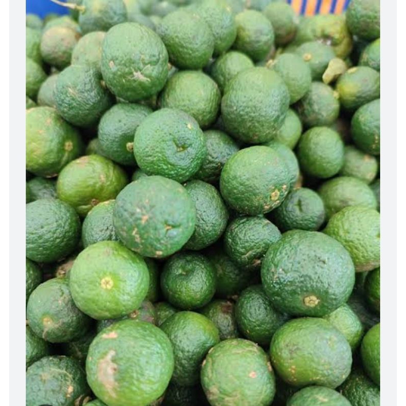 

jeruk limau 1kg jeruk limo