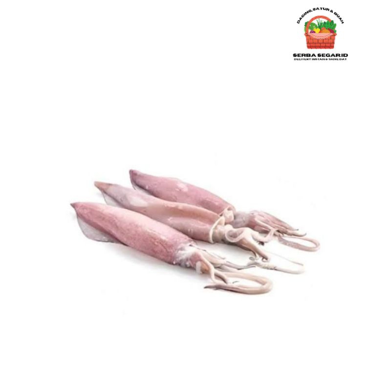 

Cumi Basah Besar 250 Gram