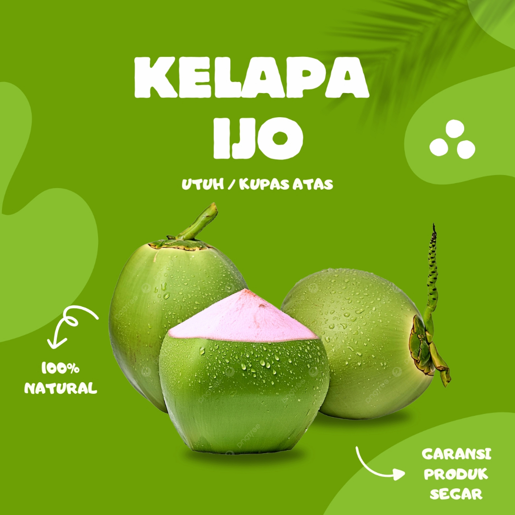 

COCORIA Kelapa Hijau Ijo Utuh / Obat / Wulung / Whole Fresh Green Coconut / Degan Hijau Segar Butiran