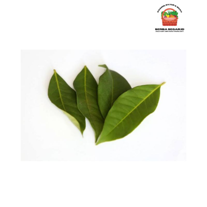 

Daun Salam