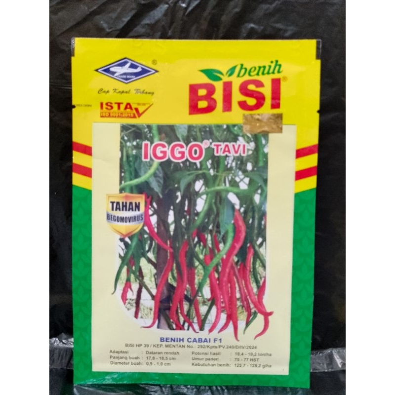 Benih Cabai Keriting IGGO TAVI
