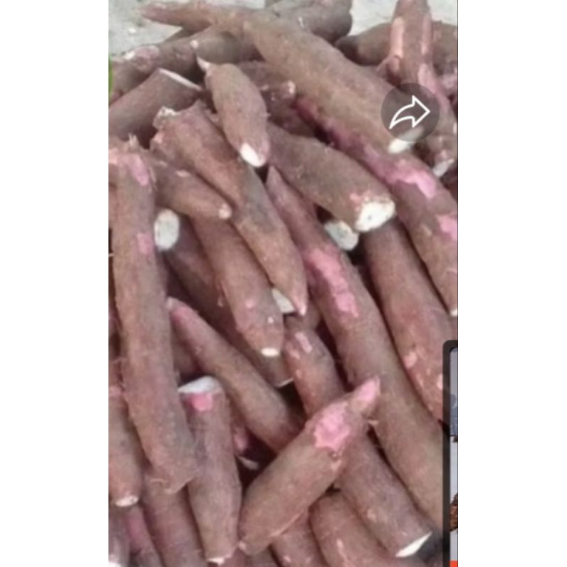 

promo!!bisa(COD)Singkong keju empuk pulen 1kg