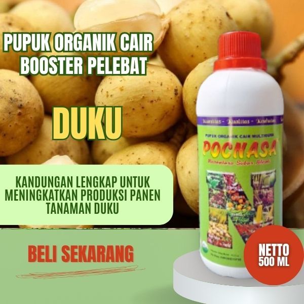 Pupuk Duku / Pupuk Duku palembang / Pupuk Booster Duku / Pupuk Pelebat Buah Duku Manis / Tanpa Biji