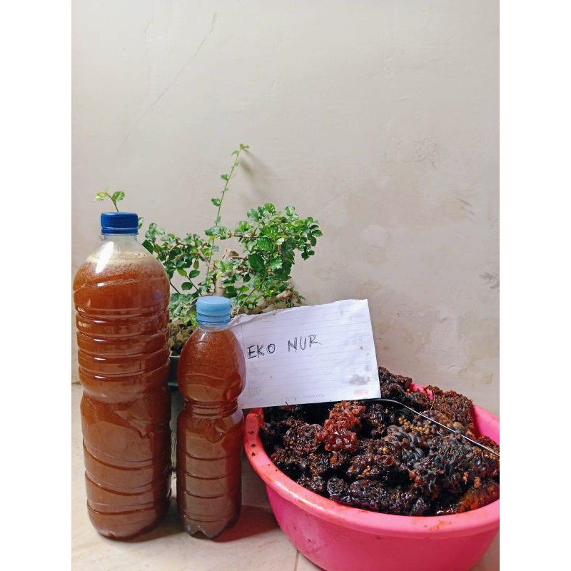

madu klanceng levi liar 600ml