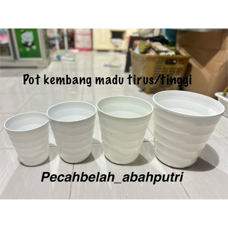 pot madu levonia tirus/pot madu tinggi