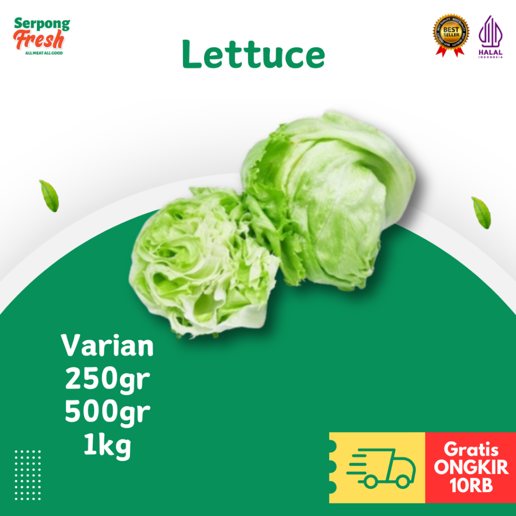 

Lettuce 250gr 500gr 1kg FRESH Sayur Segar