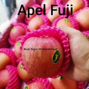 

apel fuji harga perkilo