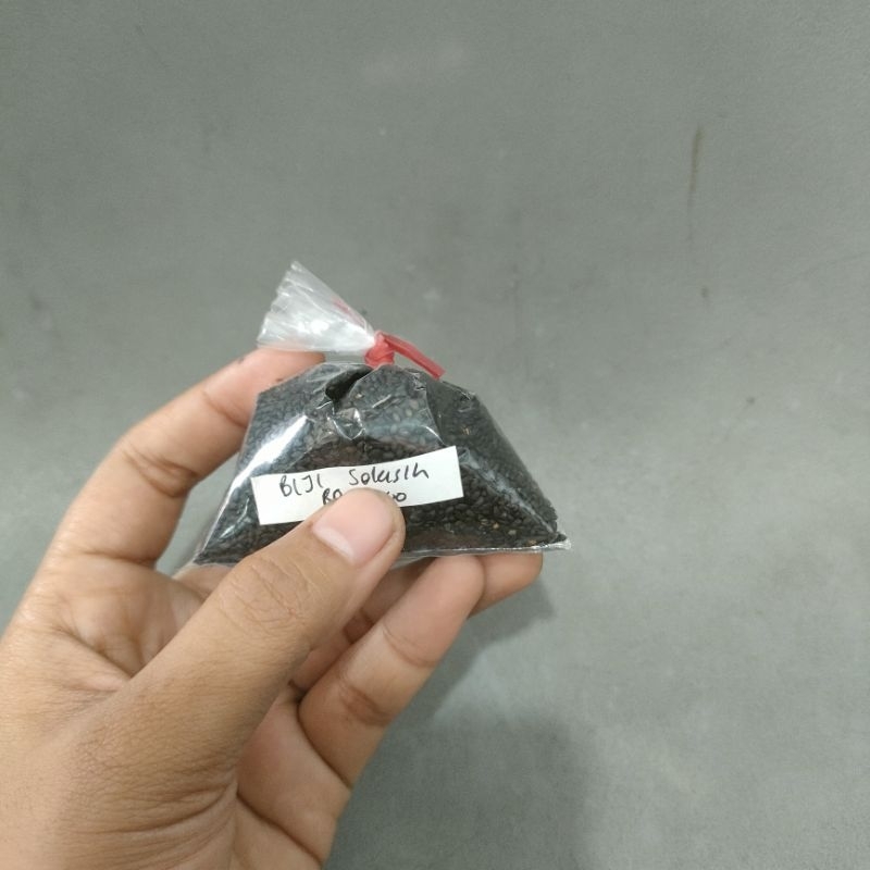 

Biji Selasih