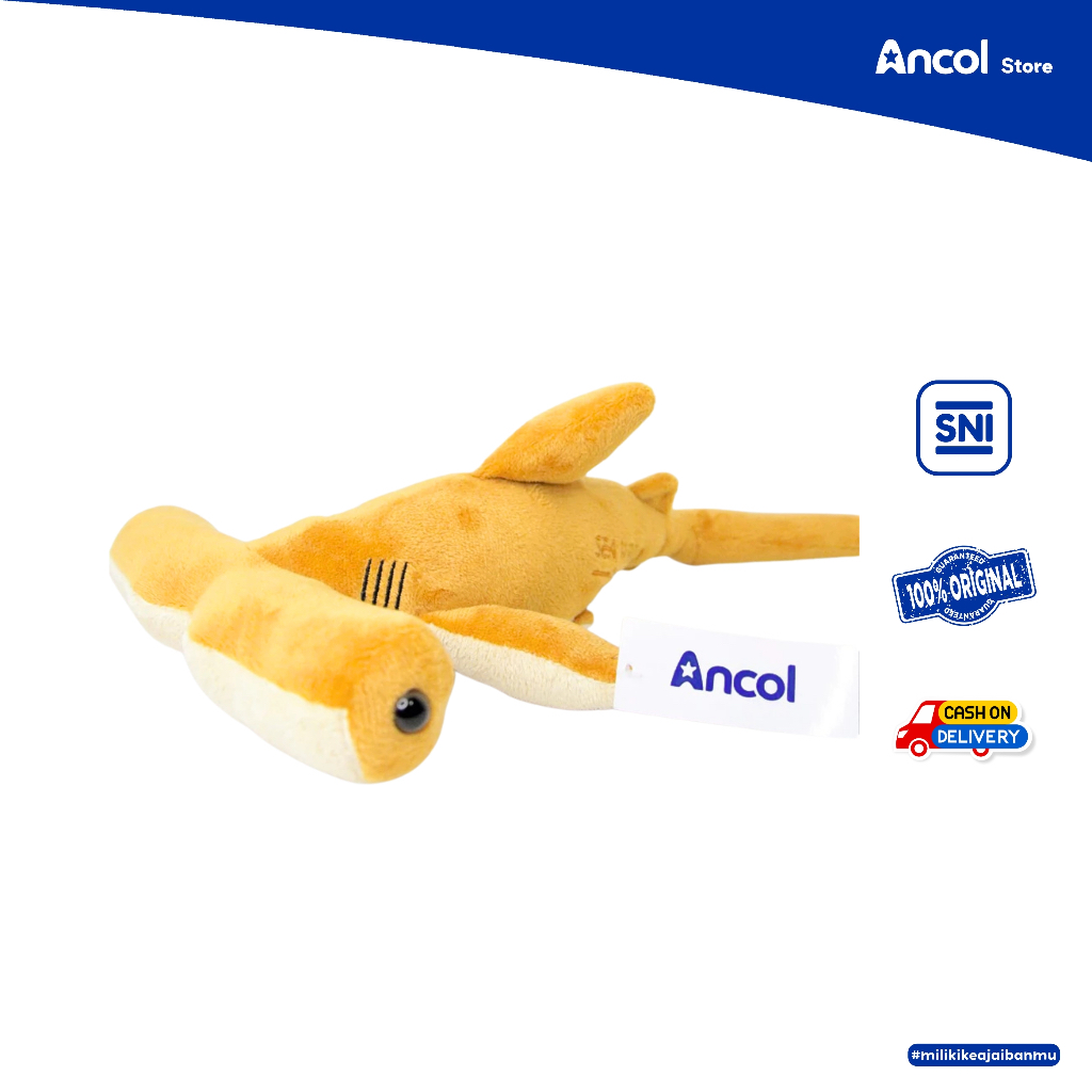 Ancol Boneka Hiu Martil (Hammerhead Shark) 25cm - Merchandise Asli Sea World - Kado Ulang Tahun Anak