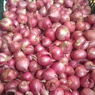 

Bawang Merah Brebes 1 Kg Murah