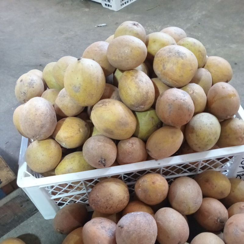 

Sawo Madu (500g)
