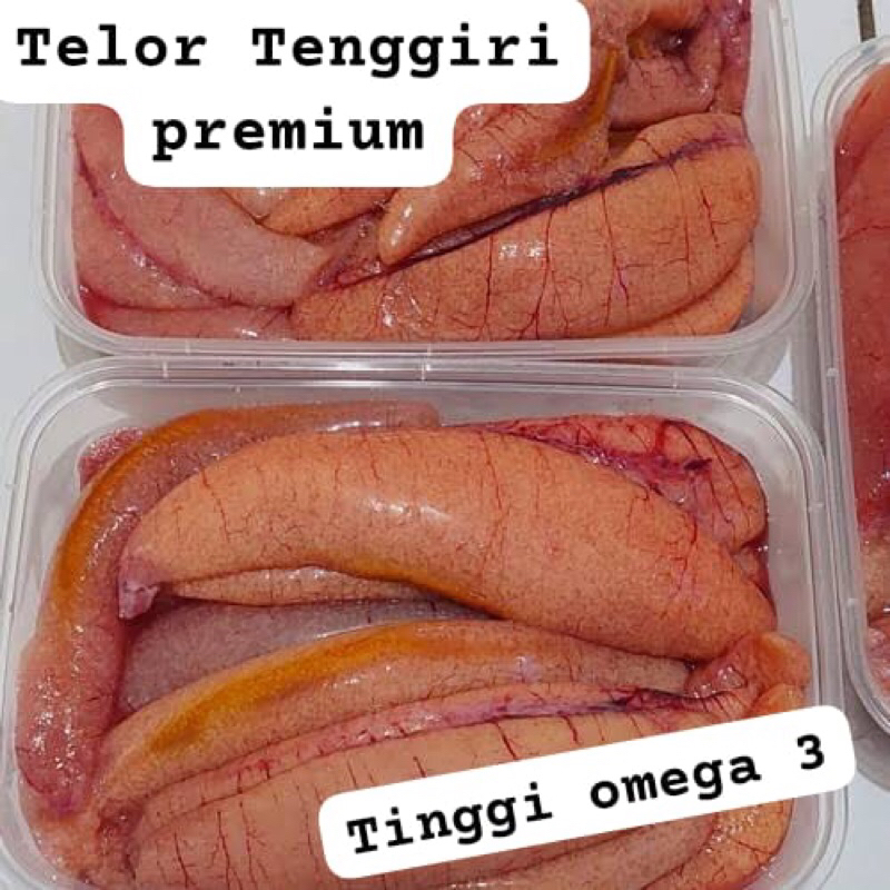

Telor Tenggiri