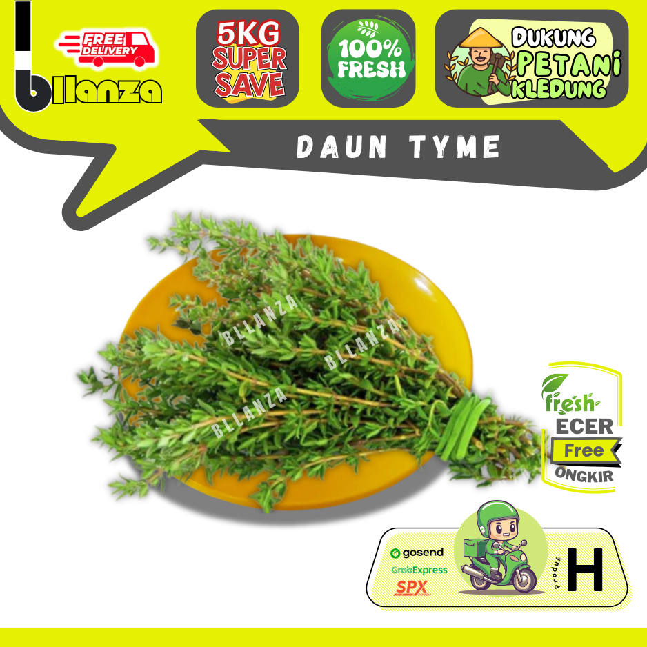 

Bllanza | Thyme Segar / Daun Timi — Sahabat Makan Sayur ECER (H)