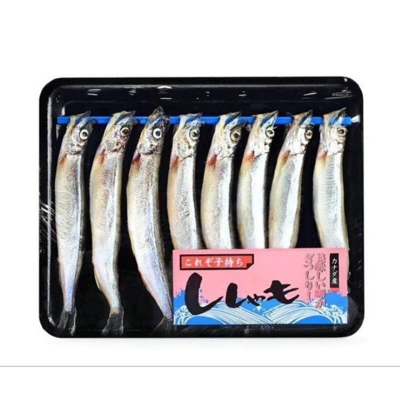 

Shisamo Ikan Cipung Chapelin Fish MPASI Tinggi Omega 3