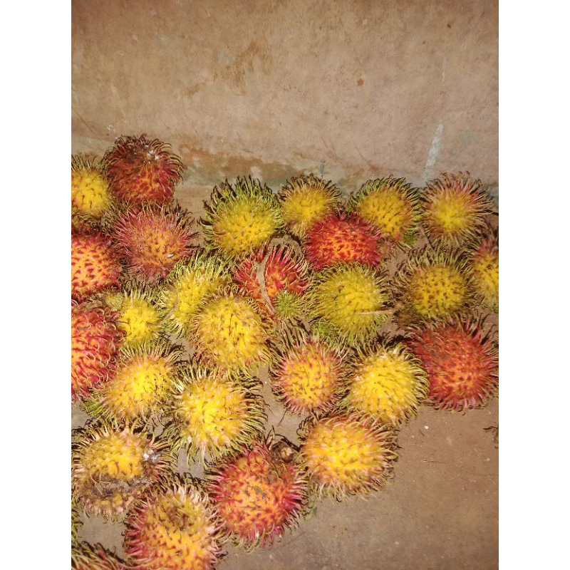 

rontokan rambutan murah, manis 1kg