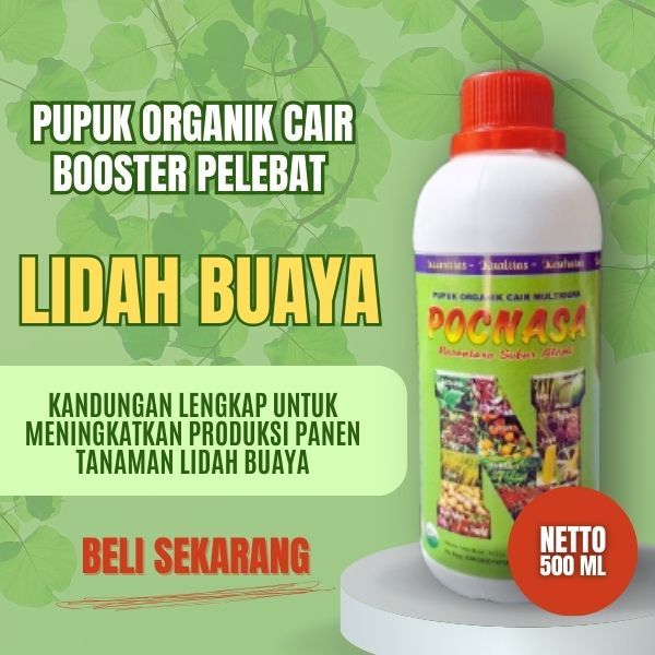 Pupuk Lidah Buaya / Pupuk Lidah Buaya Gel Untuk Wajah / Pupuk Lidah Buaya Untuk rambut / Pupuk Cair