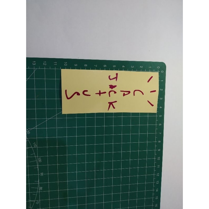 stiker cutting Jack cactus