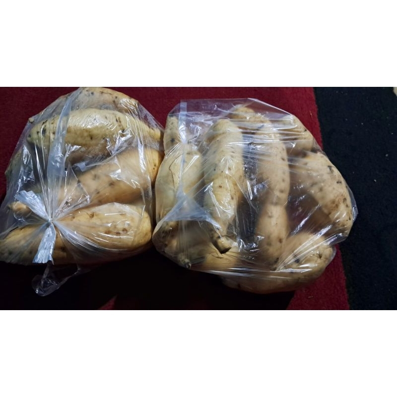 

ubi madu/cilembu madu fresh baru panen
