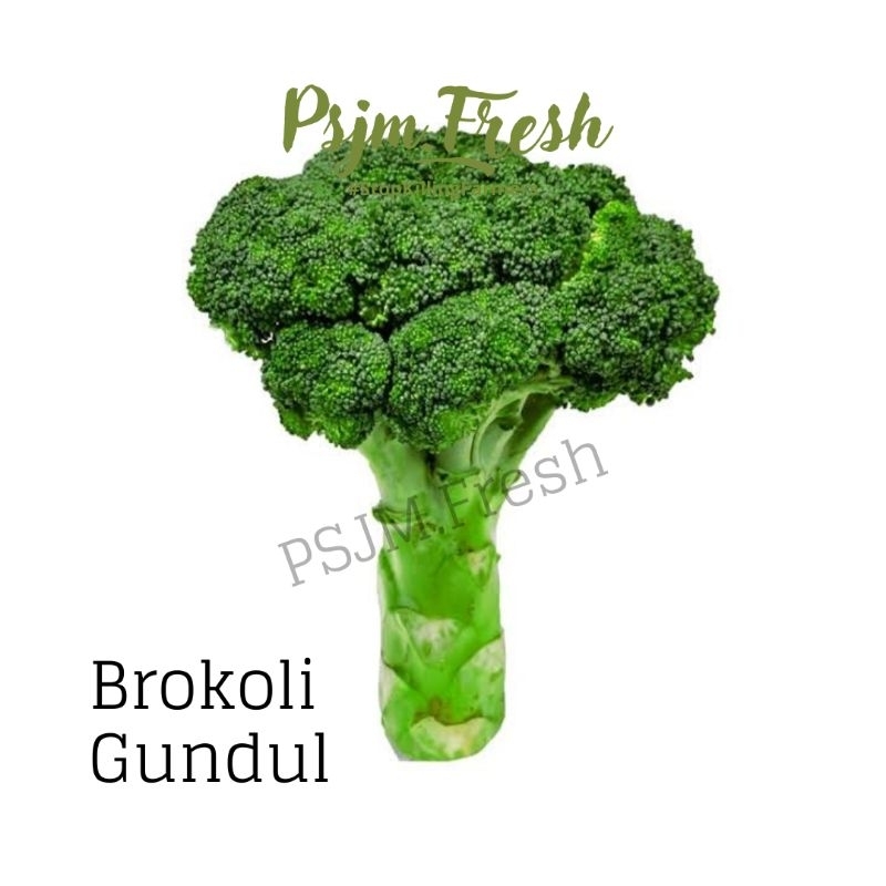 

Brokoli batang 4 jari