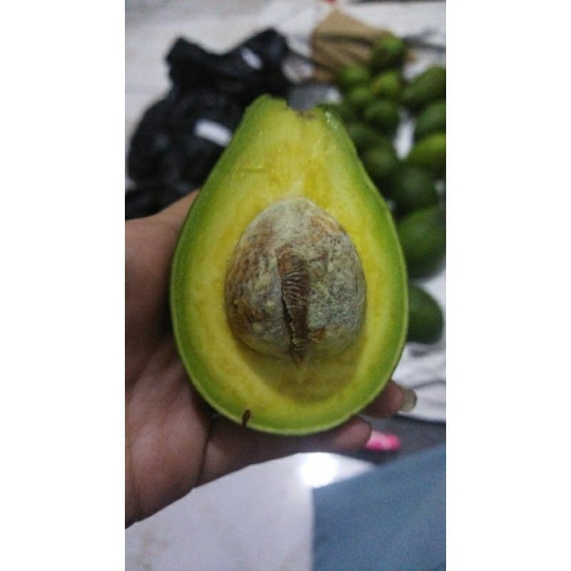 

Alpukat mentega