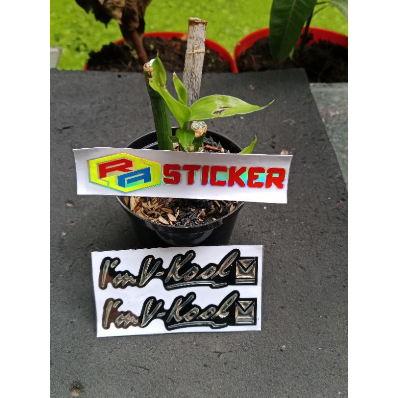 STICKER TIMBUL IM VKOOL TIMBUL 3D