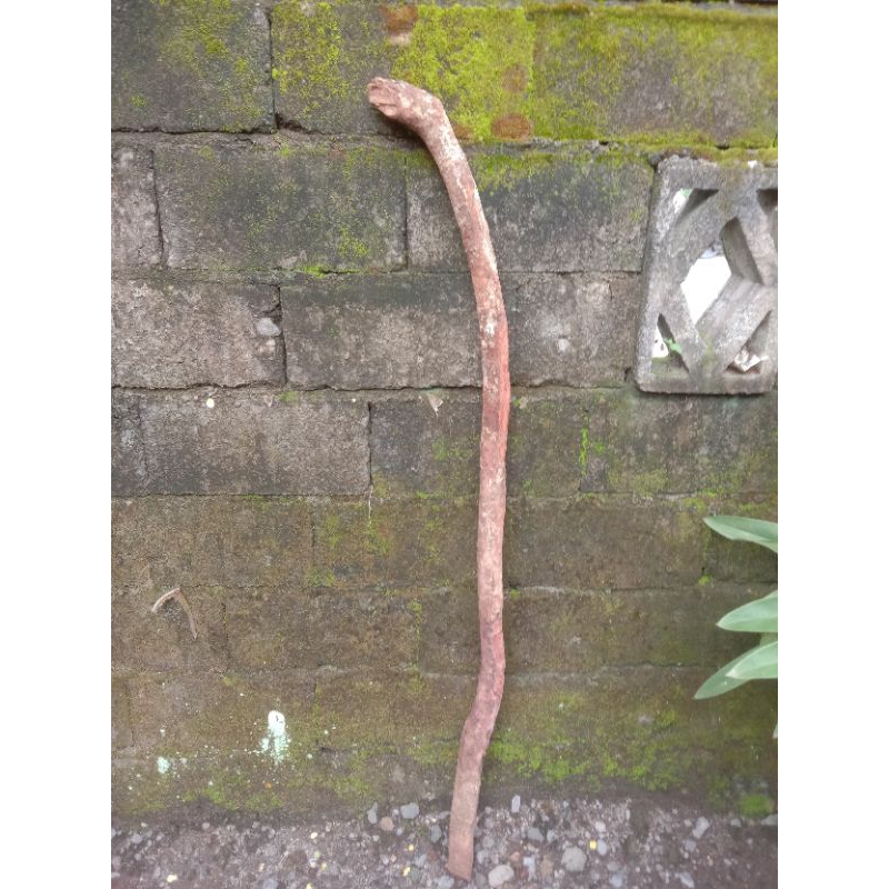 Kayu Sulaiman alami