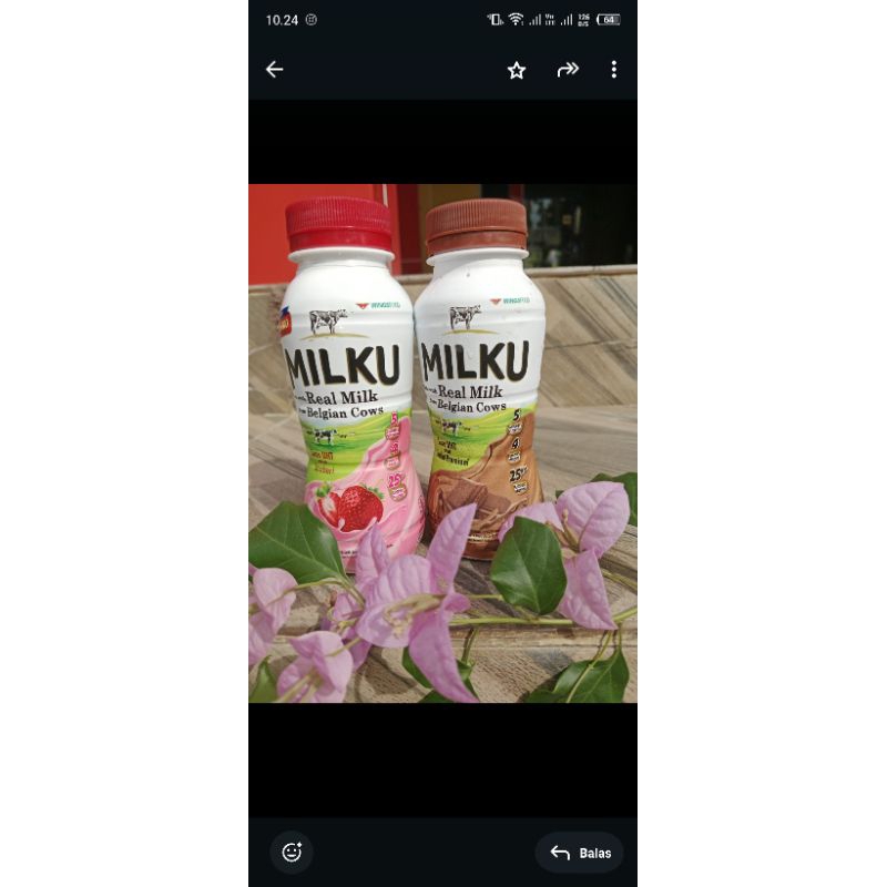 

milku