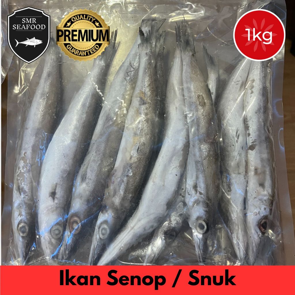 

Ikan Senop / Senuk / Alu Alu / Kacang kacang / Baraccuda Kecil | Frozen Beku Utuh 1KG