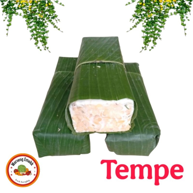 

TEMPE 1 PAPAN MURAH SEGAR