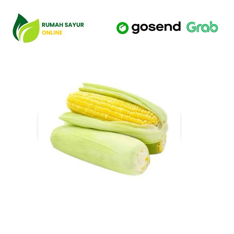 

Jagung Manis 1 Pack ISI 2 | Rumah Sayur Online