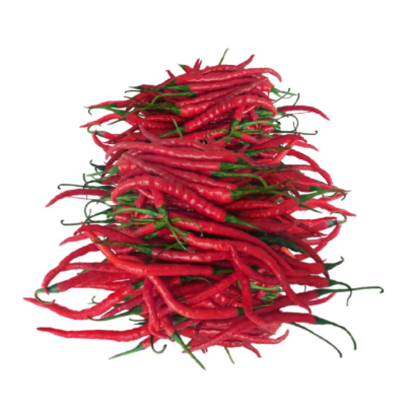 

Cabe Merah keriting Super