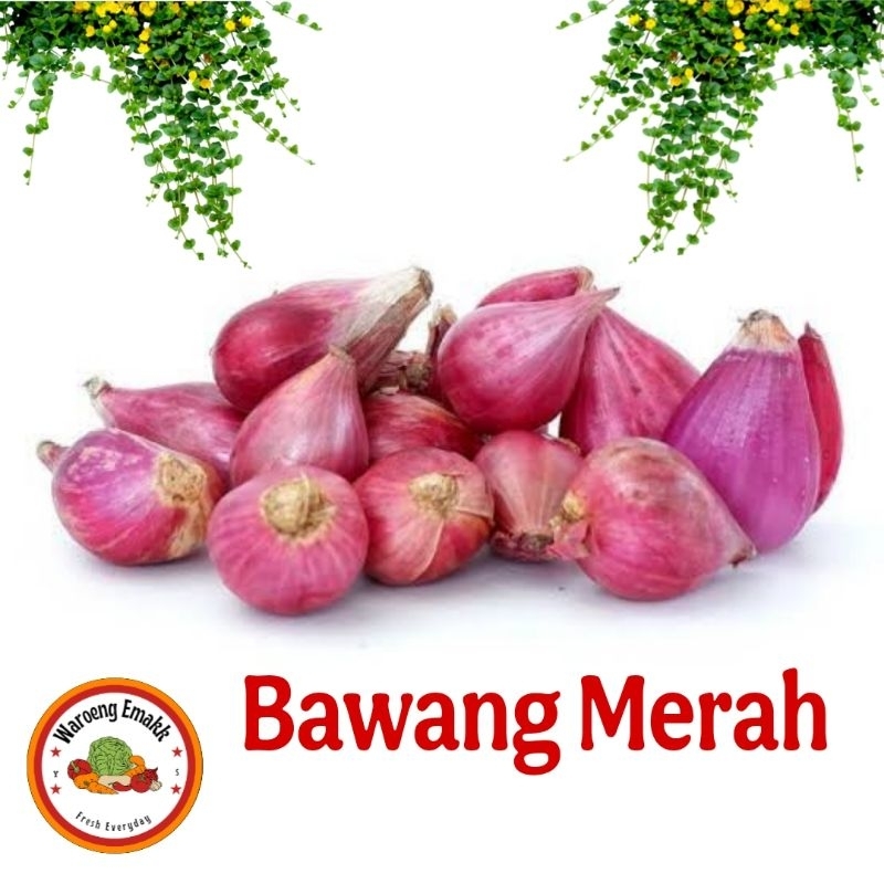 

BAWANG MERAH PAKET MURAH MERIAH