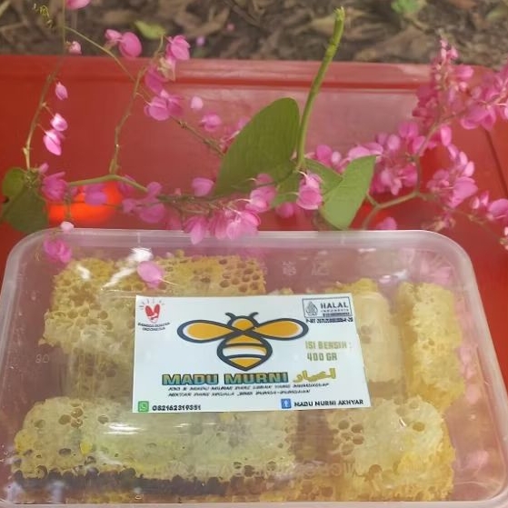 

Sarang Madu Box 400 Gram Lebah Apiscerena - Madu Murni Akhyar