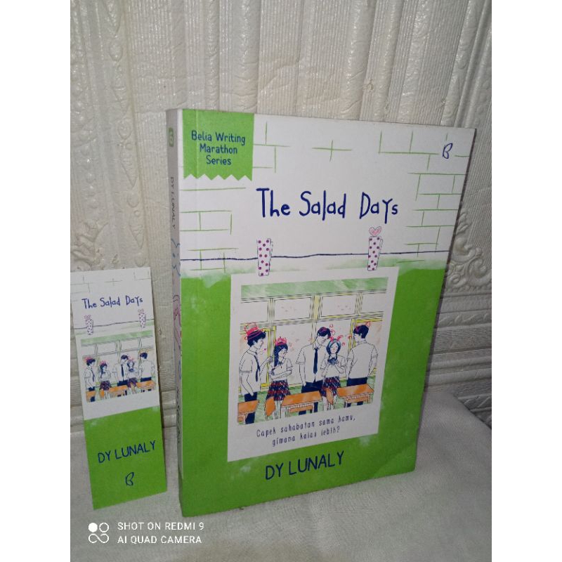 Preloved ORIGINAL Novel The Salad Days by Dy Lunaly Bekas Penerbit Bentang Belia Second Unhaul PL Bu
