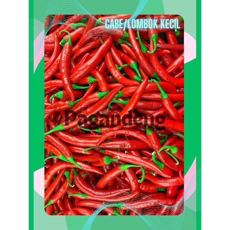 

Cabe/Lombok Merah Kecil