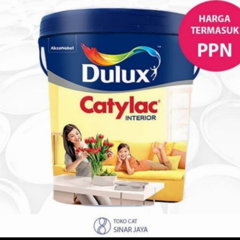 Dulux Catylac Interior 25Kg Windsurfer