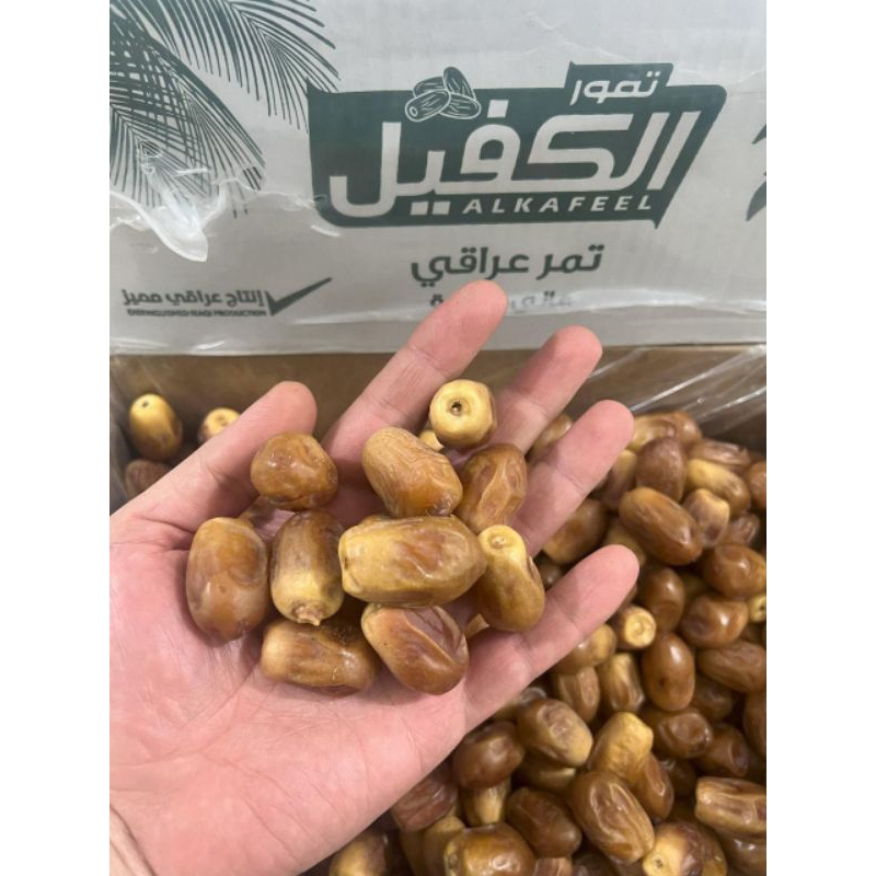 

Kurma Kering Zahdi || Kurma Kering Manis Legit 100gram