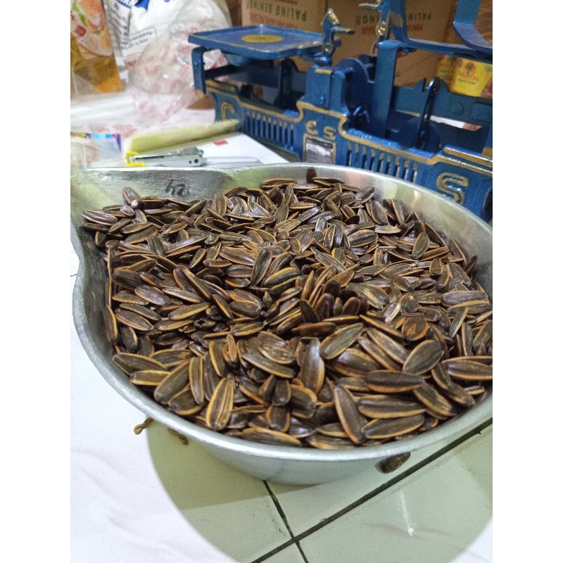 

KUACI MATAHARI KULIT