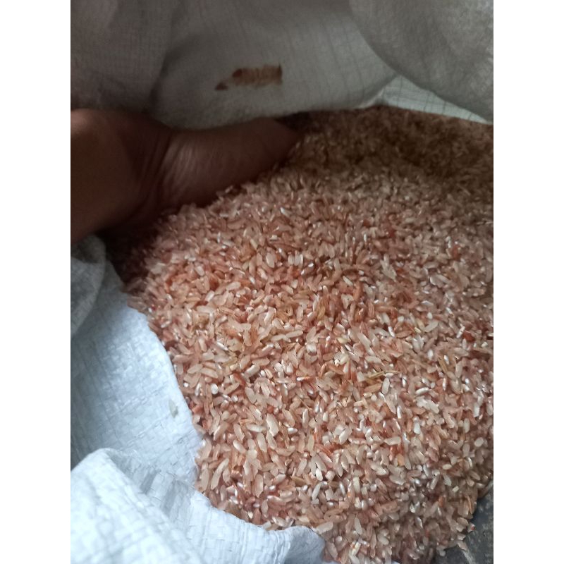 

Beras Merah Lokal Super 1kg Untuk Diet, Rendah Gula