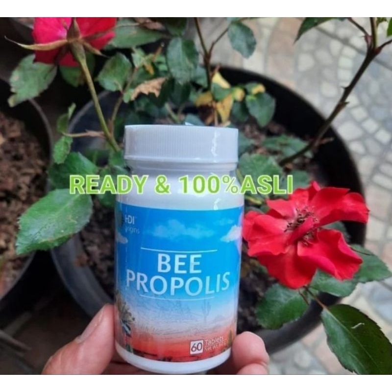 

bee propolis ori exp 2026