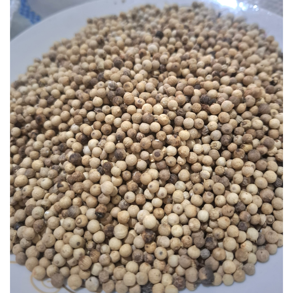 

lada butir lokal asli berkualitas