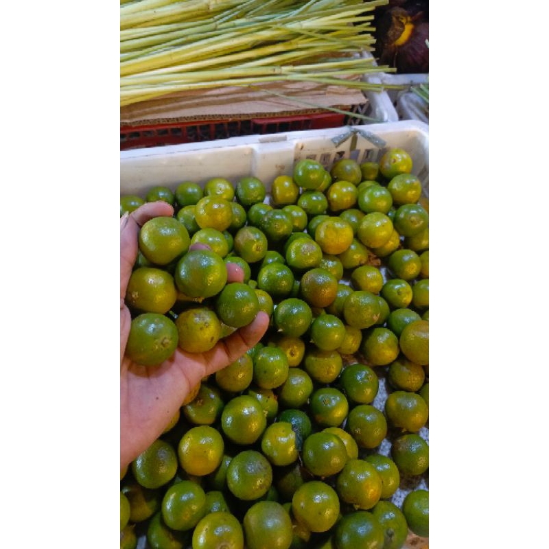 

Jeruk songkit/ Jeruk kasturi 1kg