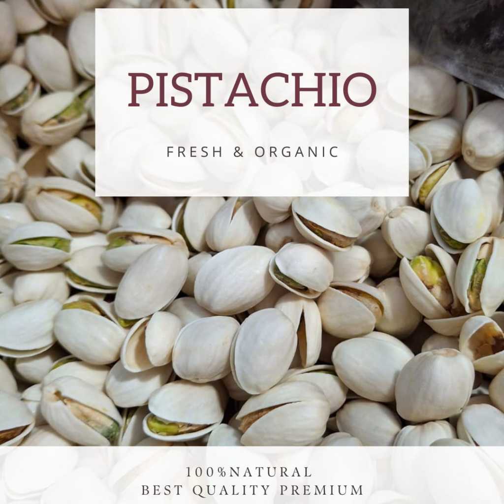 

Pistachio Premium 500gr – Kacang Lezat & Kaya Nutrisi