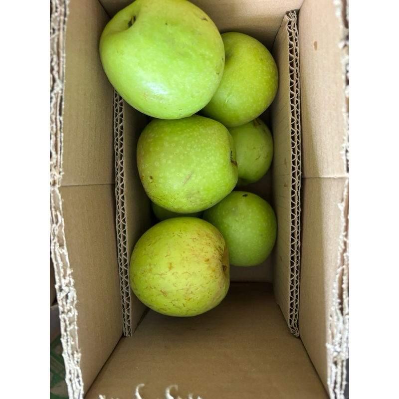 

Apel manalagi ukuran besar isi 9-10 biji