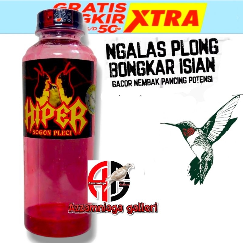 HIPER PLECI MERAH METABOLISME  HIPER PLECI
